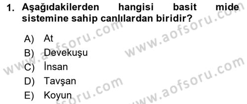Hayvan Besleme Dersi 2018 - 2019 Yılı Yaz Okulu Sınav Soruları 1. Soru