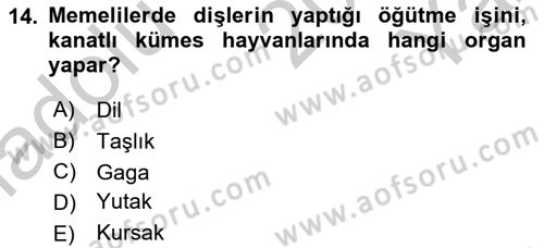 Hayvan Besleme Dersi 2018 - 2019 Yılı Yaz Okulu Sınav Soruları 14. Soru
