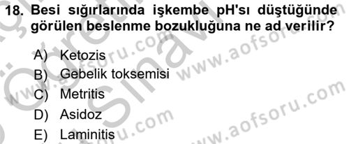 Hayvan Besleme Dersi 2018 - 2019 Yılı Yaz Okulu Sınav Soruları 18. Soru