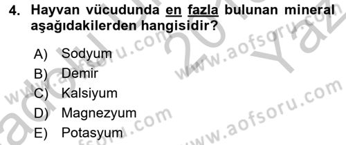 Hayvan Besleme Dersi 2018 - 2019 Yılı Yaz Okulu Sınav Soruları 4. Soru