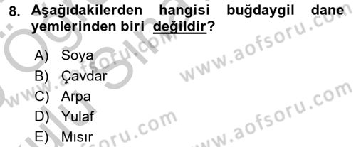 Hayvan Besleme Dersi 2018 - 2019 Yılı Yaz Okulu Sınav Soruları 8. Soru