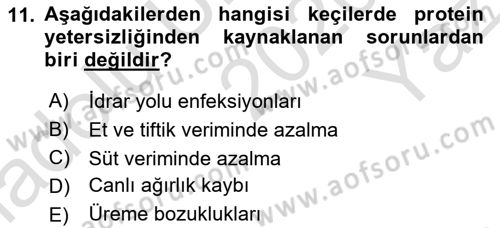 Hayvan Besleme Dersi 2020 - 2021 Yılı Yaz Okulu Sınav Soruları 11. Soru