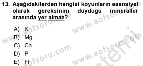 Hayvan Besleme Dersi 2020 - 2021 Yılı Yaz Okulu Sınav Soruları 13. Soru