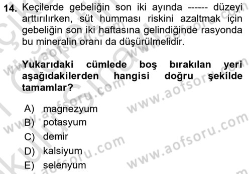 Hayvan Besleme Dersi 2020 - 2021 Yılı Yaz Okulu Sınav Soruları 14. Soru
