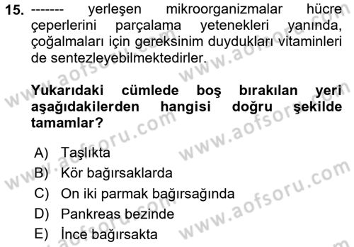 Hayvan Besleme Dersi 2020 - 2021 Yılı Yaz Okulu Sınav Soruları 15. Soru