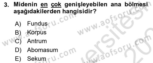 Hayvan Besleme Dersi 2020 - 2021 Yılı Yaz Okulu Sınav Soruları 3. Soru