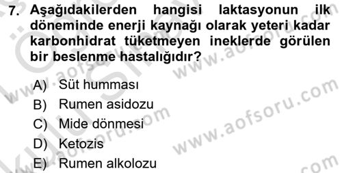 Hayvan Besleme Dersi 2020 - 2021 Yılı Yaz Okulu Sınav Soruları 7. Soru