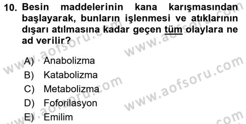 Hayvan Besleme Dersi 2021 - 2022 Yılı (Vize) Ara Sınav Soruları 10. Soru