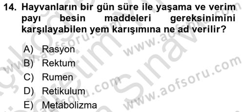 Hayvan Besleme Dersi 2021 - 2022 Yılı (Vize) Ara Sınavı 14. Soru