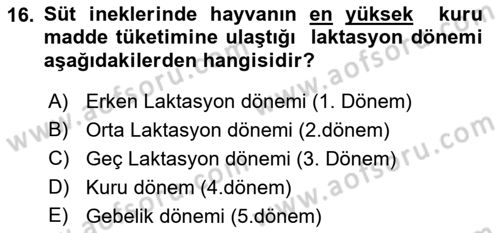 Hayvan Besleme Dersi 2021 - 2022 Yılı (Vize) Ara Sınavı 16. Soru