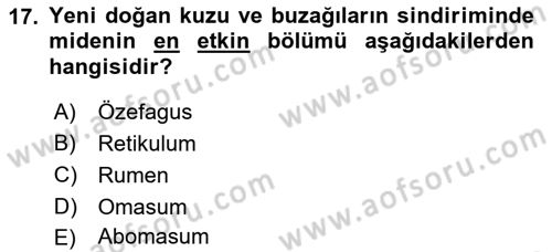 Hayvan Besleme Dersi 2021 - 2022 Yılı (Vize) Ara Sınavı 17. Soru