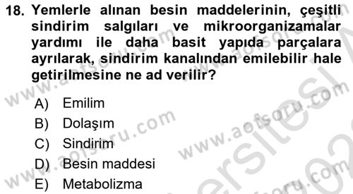 Hayvan Besleme Dersi 2021 - 2022 Yılı (Vize) Ara Sınavı 18. Soru