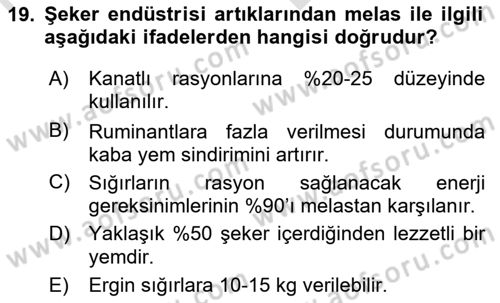 Hayvan Besleme Dersi 2021 - 2022 Yılı (Vize) Ara Sınav Soruları 19. Soru