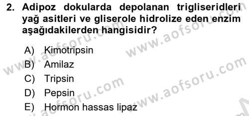 Hayvan Besleme Dersi 2021 - 2022 Yılı (Vize) Ara Sınav Soruları 2. Soru