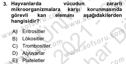 Hayvan Besleme Dersi 2021 - 2022 Yılı (Vize) Ara Sınav Soruları 3. Soru