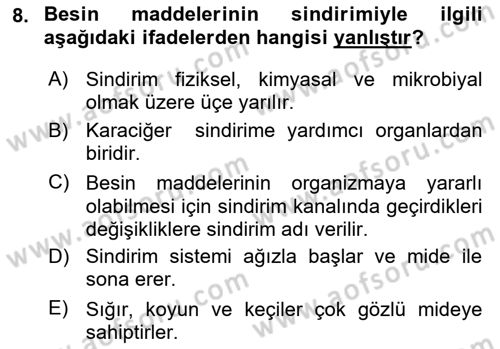 Hayvan Besleme Dersi 2021 - 2022 Yılı (Vize) Ara Sınav Soruları 8. Soru