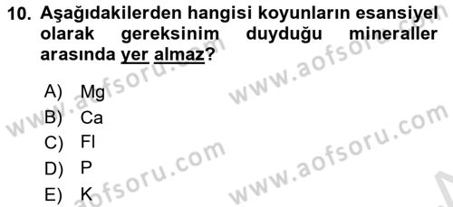 Hayvan Besleme Dersi 2021 - 2022 Yılı (Final) Dönem Sonu Sınav Soruları 10. Soru