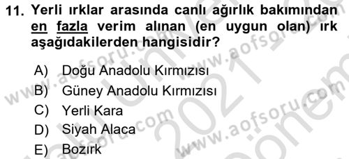 Hayvan Besleme Dersi 2021 - 2022 Yılı (Final) Dönem Sonu Sınav Soruları 11. Soru