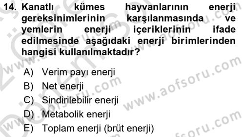 Hayvan Besleme Dersi 2021 - 2022 Yılı (Final) Dönem Sonu Sınav Soruları 14. Soru
