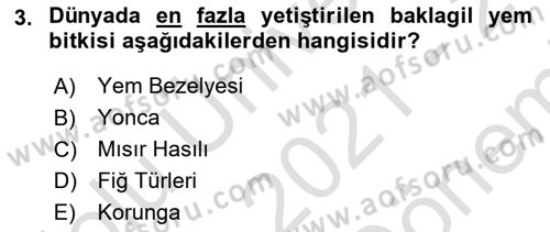 Hayvan Besleme Dersi 2021 - 2022 Yılı (Final) Dönem Sonu Sınav Soruları 3. Soru