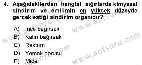 Hayvan Besleme Dersi 2021 - 2022 Yılı (Final) Dönem Sonu Sınav Soruları 4. Soru