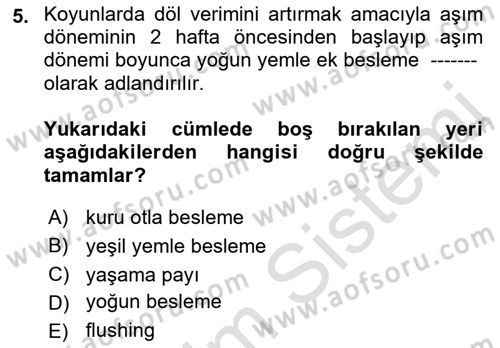 Hayvan Besleme Dersi 2021 - 2022 Yılı (Final) Dönem Sonu Sınav Soruları 5. Soru