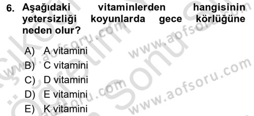 Hayvan Besleme Dersi 2021 - 2022 Yılı (Final) Dönem Sonu Sınav Soruları 6. Soru