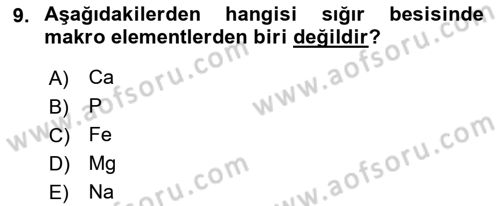 Hayvan Besleme Dersi 2021 - 2022 Yılı (Final) Dönem Sonu Sınav Soruları 9. Soru
