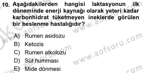 Hayvan Besleme Dersi 2021 - 2022 Yılı Yaz Okulu Sınav Soruları 10. Soru