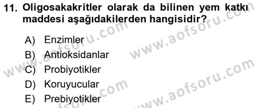 Hayvan Besleme Dersi 2021 - 2022 Yılı Yaz Okulu Sınav Soruları 11. Soru