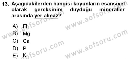 Hayvan Besleme Dersi 2021 - 2022 Yılı Yaz Okulu Sınav Soruları 13. Soru