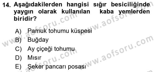 Hayvan Besleme Dersi 2021 - 2022 Yılı Yaz Okulu Sınav Soruları 14. Soru