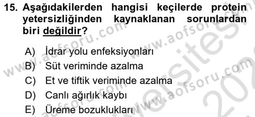 Hayvan Besleme Dersi 2021 - 2022 Yılı Yaz Okulu Sınav Soruları 15. Soru
