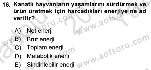 Hayvan Besleme Dersi 2021 - 2022 Yılı Yaz Okulu Sınav Soruları 16. Soru