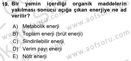 Hayvan Besleme Dersi 2021 - 2022 Yılı Yaz Okulu Sınav Soruları 19. Soru