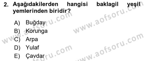 Hayvan Besleme Dersi 2021 - 2022 Yılı Yaz Okulu Sınav Soruları 2. Soru