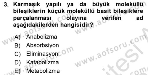Hayvan Besleme Dersi 2021 - 2022 Yılı Yaz Okulu Sınav Soruları 3. Soru