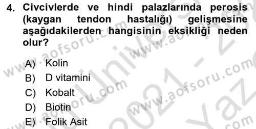 Hayvan Besleme Dersi 2021 - 2022 Yılı Yaz Okulu Sınav Soruları 4. Soru