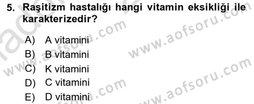 Hayvan Besleme Dersi 2021 - 2022 Yılı Yaz Okulu Sınav Soruları 5. Soru