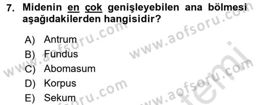 Hayvan Besleme Dersi 2021 - 2022 Yılı Yaz Okulu Sınav Soruları 7. Soru