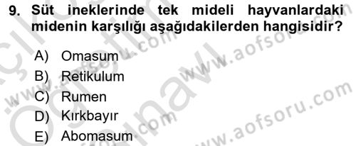 Hayvan Besleme Dersi 2021 - 2022 Yılı Yaz Okulu Sınav Soruları 9. Soru