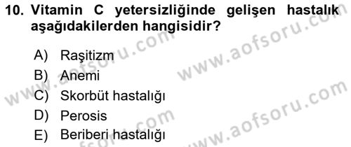 Hayvan Besleme Dersi 2022 - 2023 Yılı Yaz Okulu Sınav Soruları 10. Soru