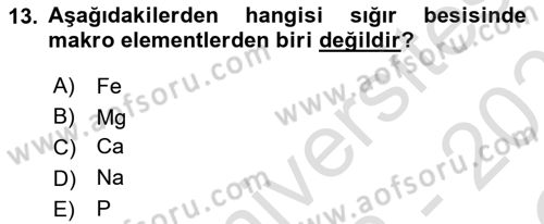 Hayvan Besleme Dersi 2022 - 2023 Yılı Yaz Okulu Sınav Soruları 13. Soru