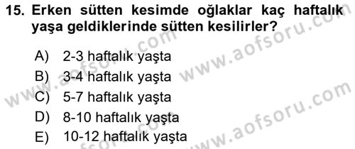 Hayvan Besleme Dersi 2022 - 2023 Yılı Yaz Okulu Sınav Soruları 15. Soru