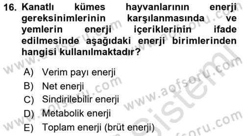 Hayvan Besleme Dersi 2022 - 2023 Yılı Yaz Okulu Sınav Soruları 16. Soru