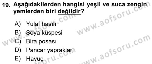 Hayvan Besleme Dersi 2022 - 2023 Yılı Yaz Okulu Sınavı 19. Soru