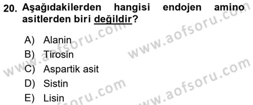 Hayvan Besleme Dersi 2022 - 2023 Yılı Yaz Okulu Sınav Soruları 20. Soru