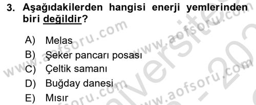 Hayvan Besleme Dersi 2022 - 2023 Yılı Yaz Okulu Sınav Soruları 3. Soru