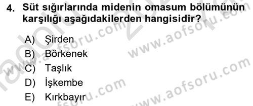 Hayvan Besleme Dersi 2022 - 2023 Yılı Yaz Okulu Sınav Soruları 4. Soru