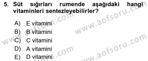 Hayvan Besleme Dersi 2022 - 2023 Yılı Yaz Okulu Sınavı 5. Soru